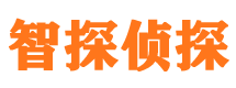 新宾侦探公司